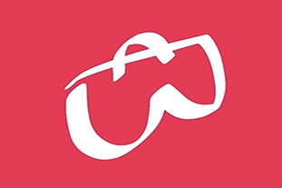 Bolsa App Website Logo