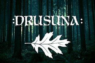 Drusuna Band Website Logo